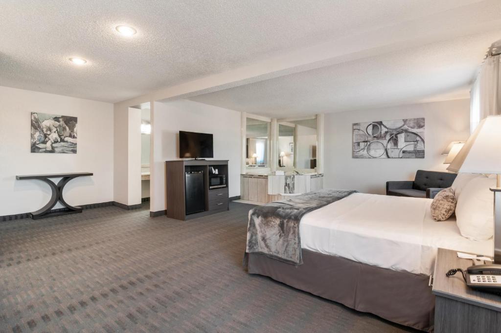 American Inn & Suites Metro Airport image 20
